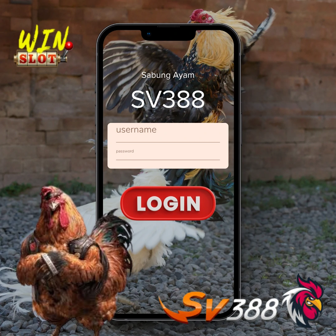 sv388: Login Situs Sabung Ayam Online SV388 Live Terbaru